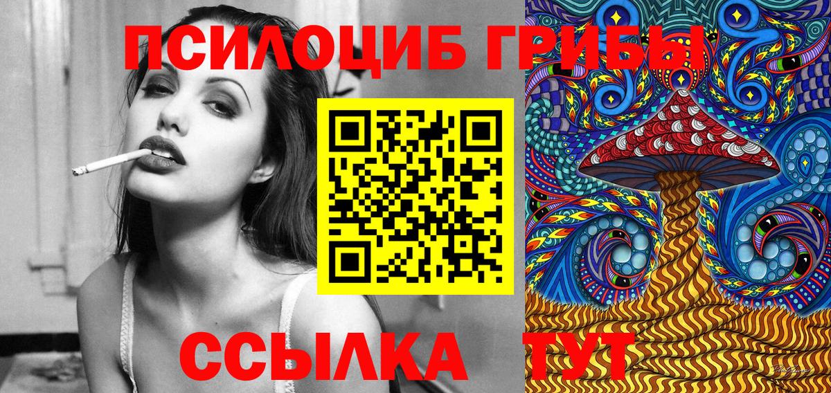 Псилоцибиновые грибы Cubensis Благовещенск
